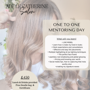 One To One Mentoring Days